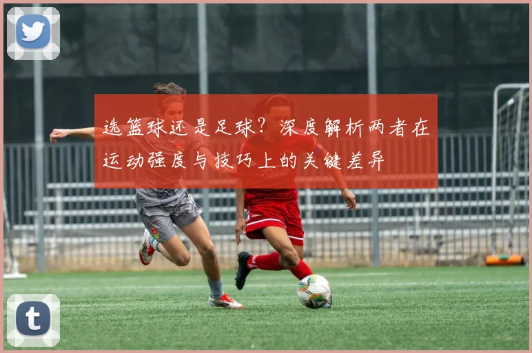 选篮球还是足球？深度解析两者在运动强度与技巧上的关键差异