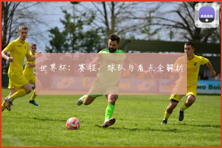 世界杯：赛程、球队与看点全解析