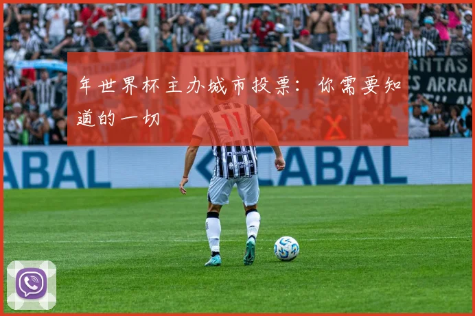 年世界杯主办城市投票：你需要知道的一切