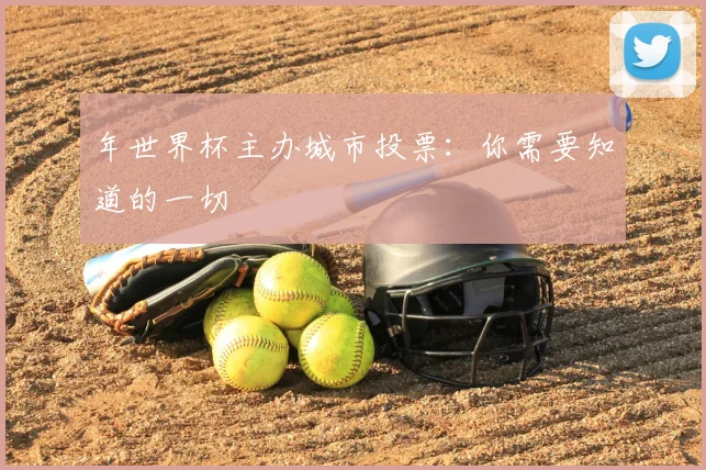 年世界杯主办城市投票：你需要知道的一切